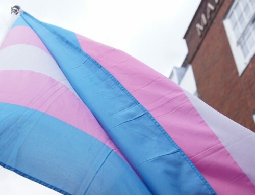 15 Trans Celebs To Follow On Twitter For Transgender Day Of Visibility